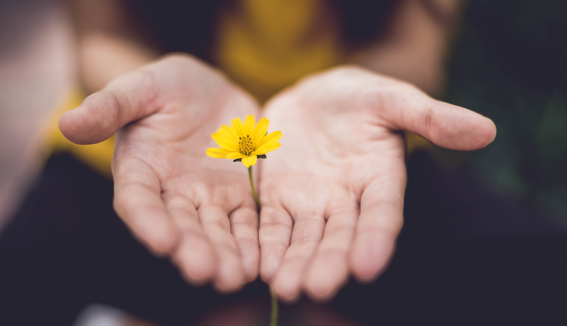 Fajas y salud: cómo usarlas puede beneficiar su bienestar general